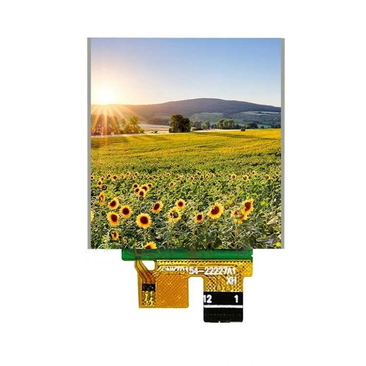 1,54 Zoll TFT LCD -Anzeige