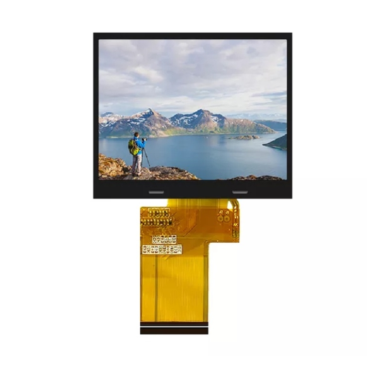 3,95 Zoll 480 x 480 TFT -Anzeige