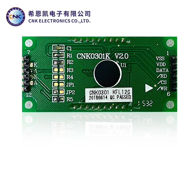 FSTN -Typ Segment LCD -Anzeige
