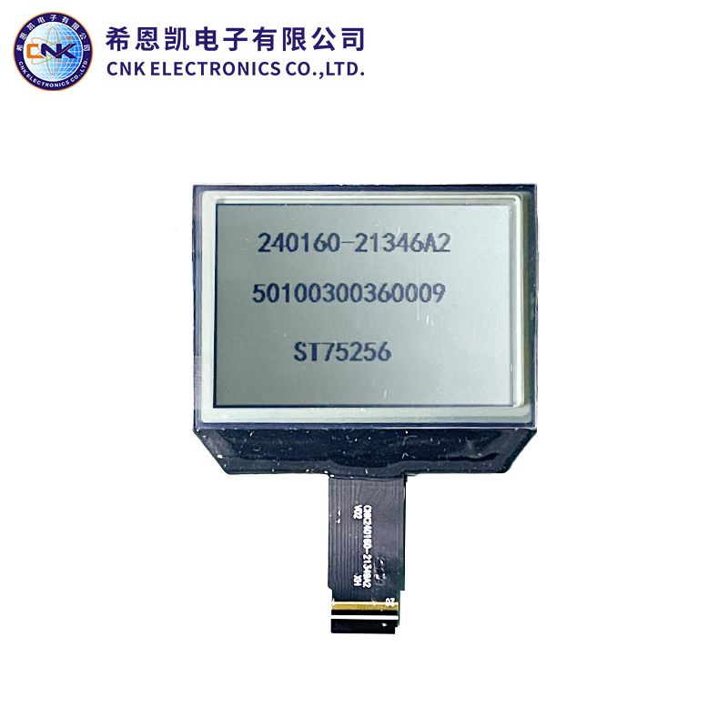 Grafisches monochromes LCD-Display